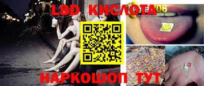шишки Аргун
