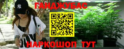 шишки Аргун