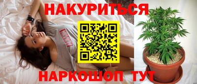 шишки Аргун
