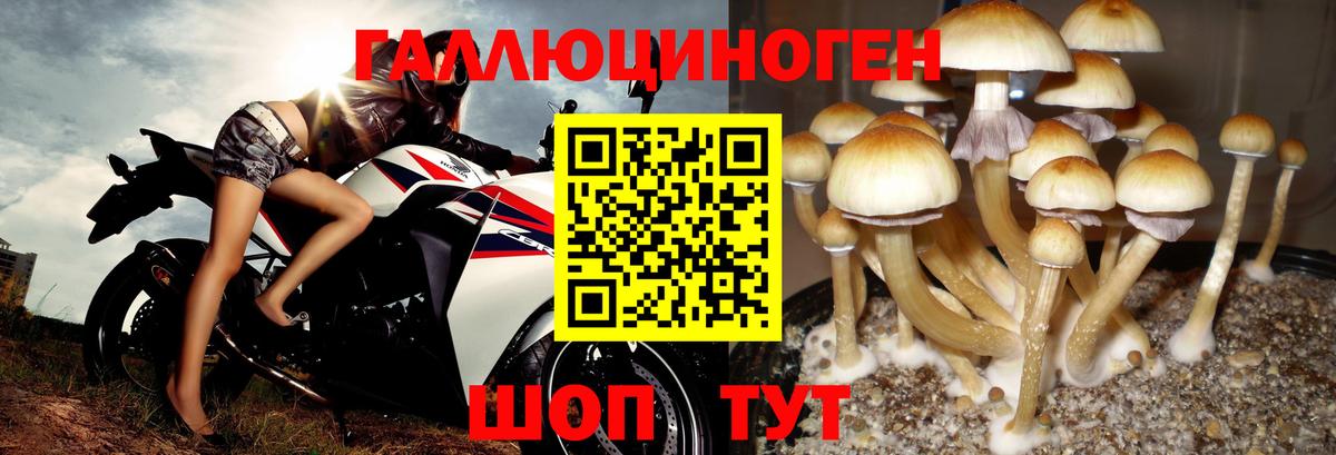 Псилоцибиновые грибы Magic Shrooms Архангельск